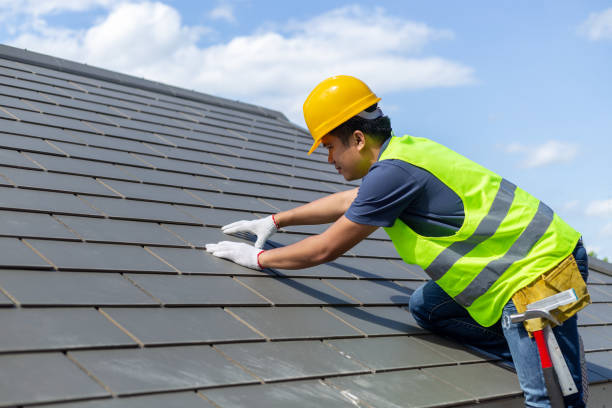 Best Roof Gutter Cleaning  in Earlysville, VA