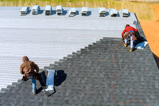 Roof Gutter Cleaning in Earlysville, VA