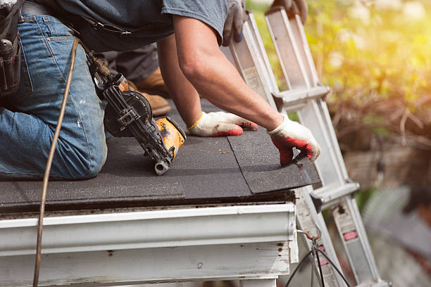 Best New Roof Installation  in Earlysville, VA